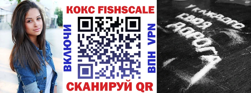 COCAIN Fish Scale  цена   Каргат 