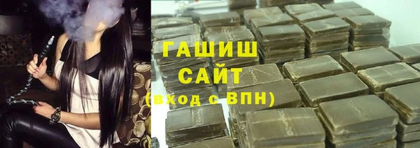 хмурый Бородино