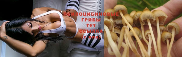 jwh Бронницы