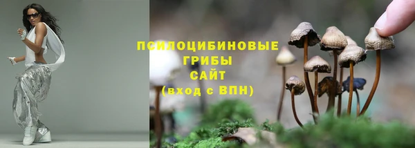 хмурый Бородино