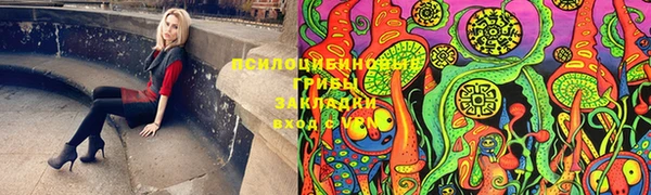 apvp Верея