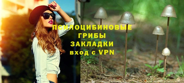 apvp Верея