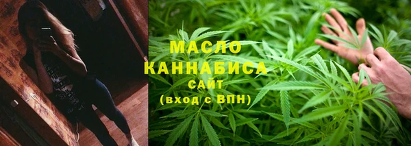 гидра Богданович
