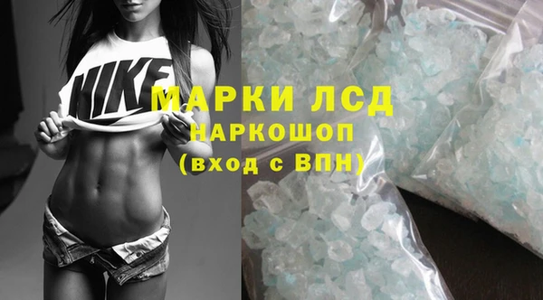 сатива Бугульма