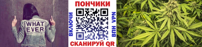 Марихуана ГИДРОПОН Каргат